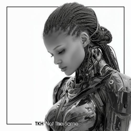 Neu im DJ Pool: TKH - Not The Same